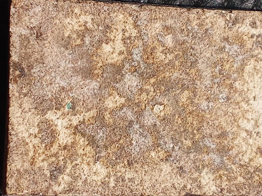 พระสมเด็จเนื้อเก่าๆสวยๆน่าสะสม รูปที่ 20