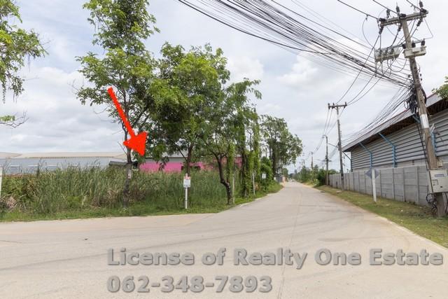 ขายที่ดินทำเลทอง พุทธมณฑลสาย 7 – สามพราน นครปฐม ติดถนนคอนกรีต แปลงมุม 3