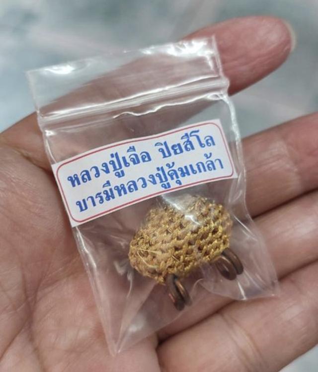 เบี้ยแก้ หลวงปู่เจือ วัดกลางบางแก้ว