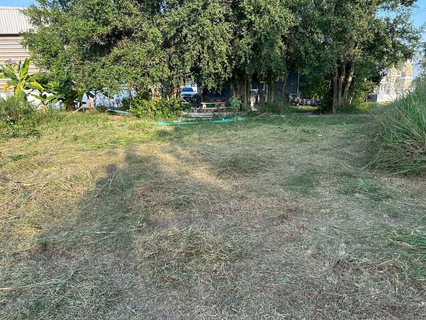 ขายที่ดิน 5 ไร่ ทำเลทองหนองตำลึง ใกล้นิคมอมตะนคร 8