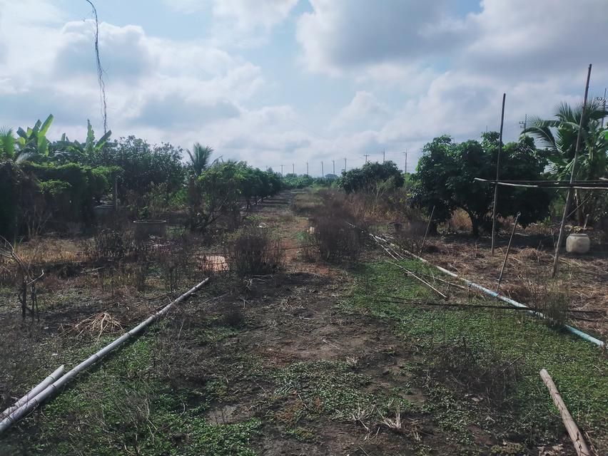 ที่ดิน 12