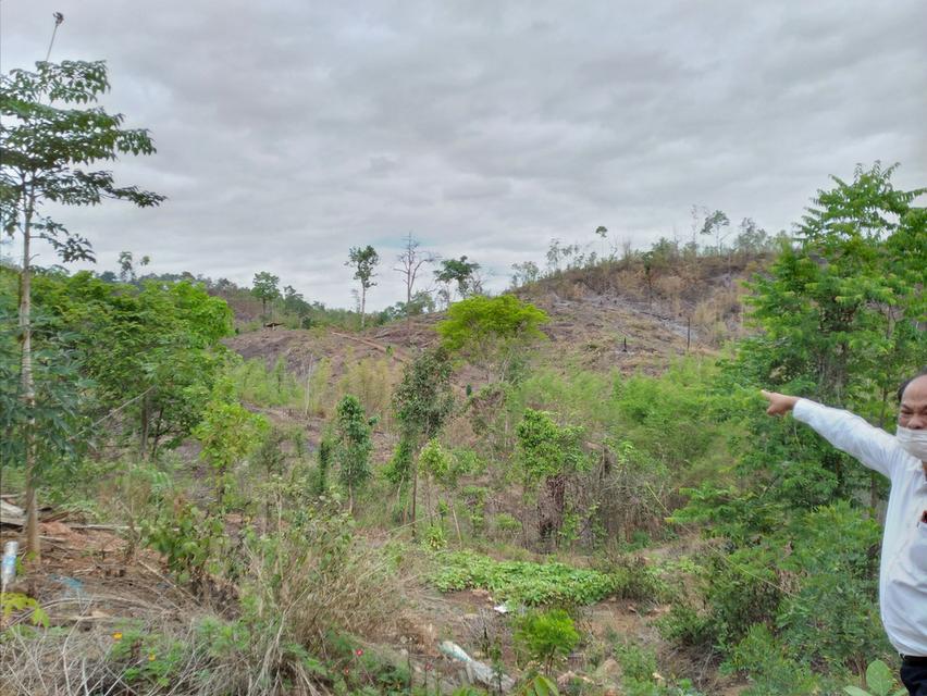 ที่ดินทำการเกษตร เหมาะทำรีสอร์ท บ้านพักตากอากาศ 8