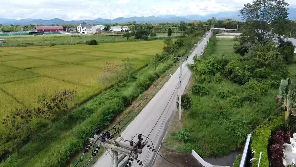 ขายที่ดินทำเลทอง อ.หางดง จ.เชียงใหม่ 5