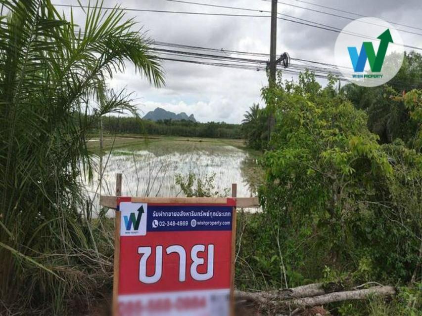 ขายที่ดินเปล่า ตำบลมะกอกเหนือ อำเภอควนขนุน จังหวัดพัทลุง 1