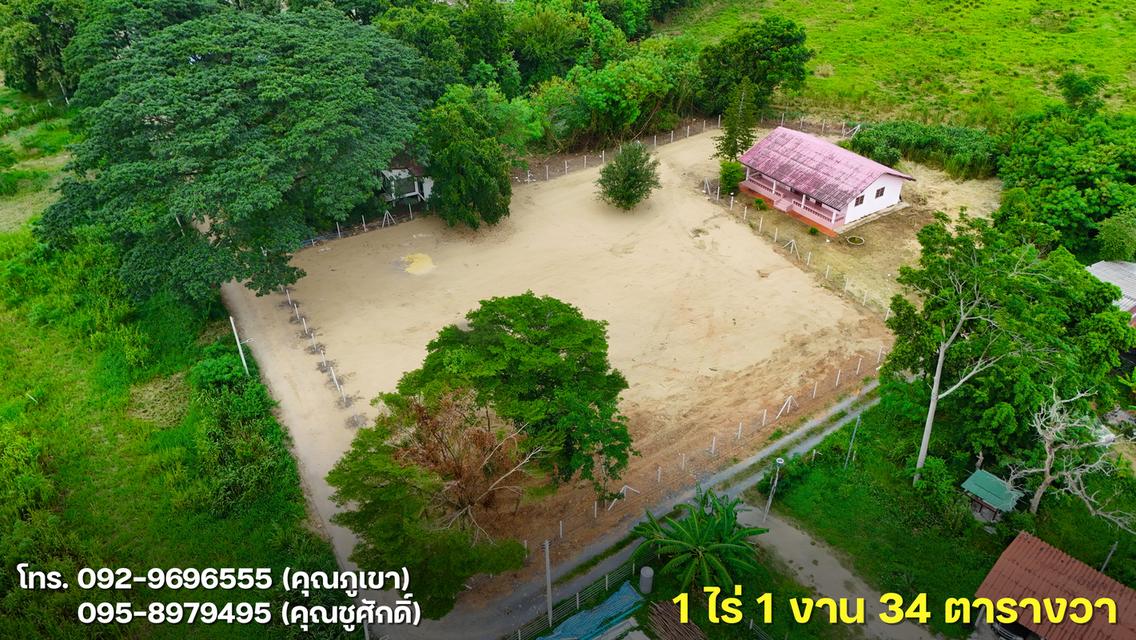 ขายที่ดินโซนเมืองปากช่อง 1 ไร่ 1 งาน 34 ตารางวา 5