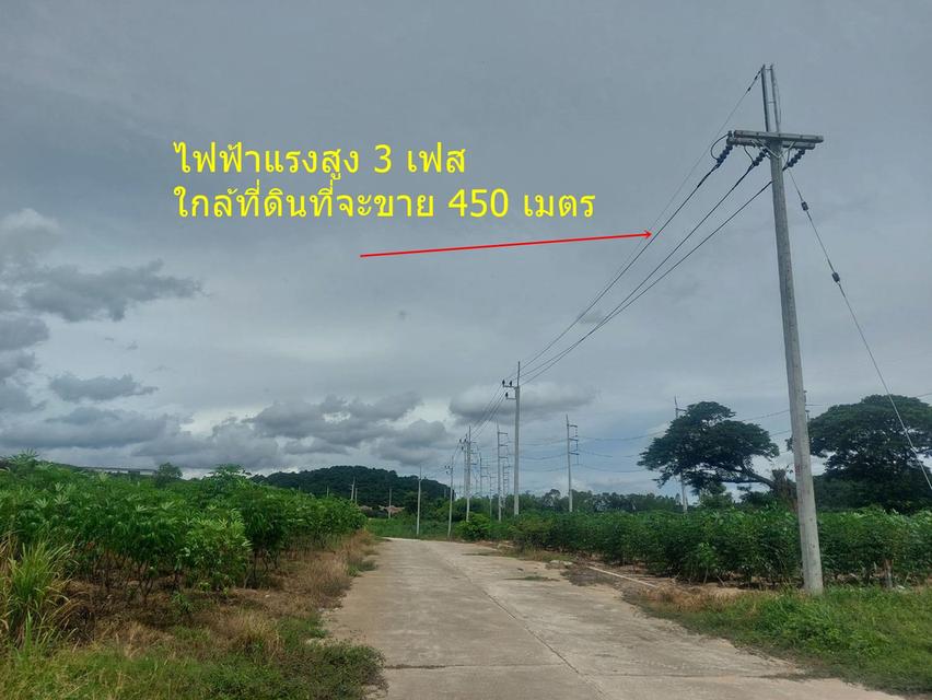 ที่ดิน 1 ไร่ ศรีราชา ใกล้นิคมปิ่นทอง2,3,4 ไร่ละ1.5 ล้าน 3