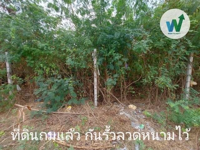 ที่ดินเปล่าถมแล้ว ติดถนนใหญ่ ใกล้โรงงานฮาตาริ (Hatari) แหล่งจ้างงานและชุมชน 3