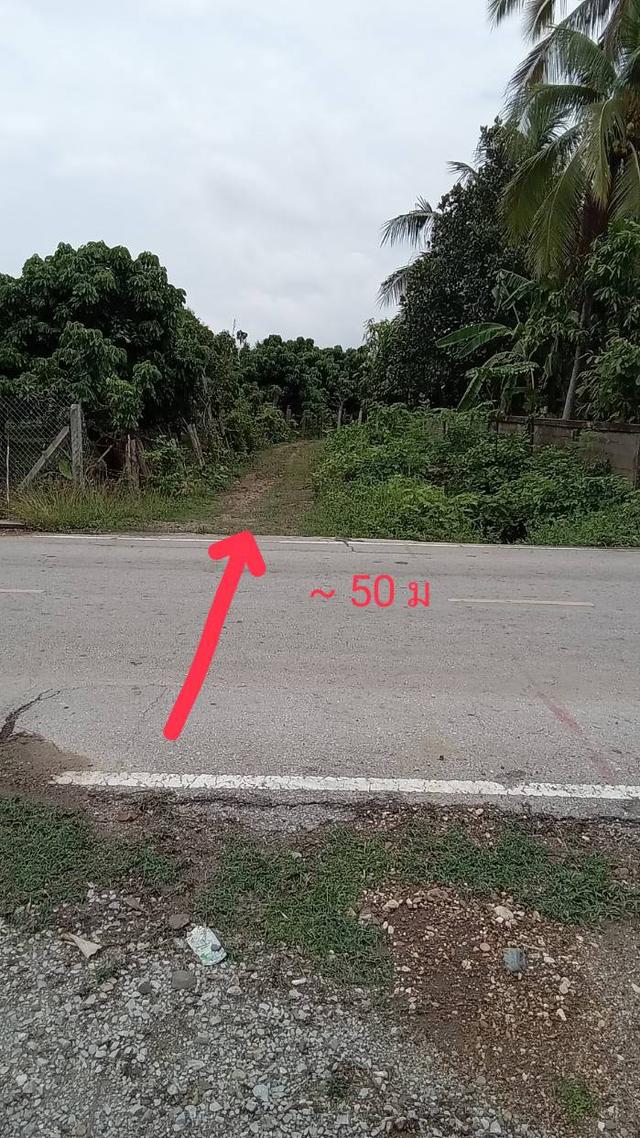 ที่ดิน อ.เมือง จ.ลำปาง 6