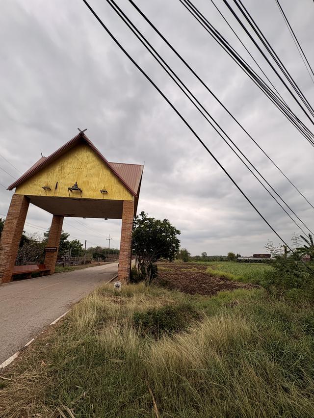 ขายที่ดิน2ไร่ จังหวัดเลย วังสะพุง วัดป่าผาเจริญ 7