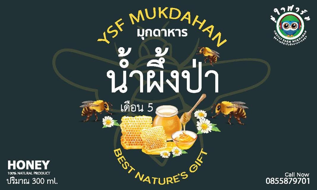 น้ำผึ้งป่า เดือน5 แท้ 100% จากธรรมชาติ กระปุกละ 300 มล.