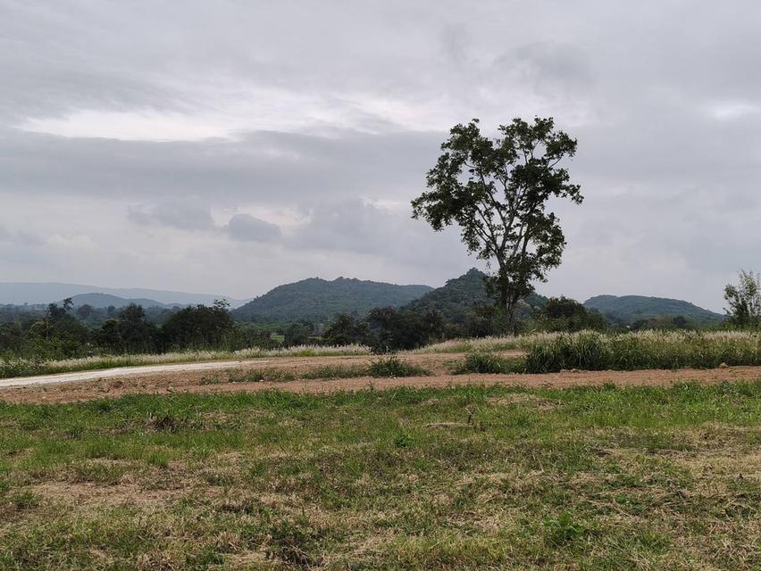 ขายที่เขาใหญ่ หนองสาหร่าย ปากช่อง 8ไร่ วิวเขาล้อมรอบ ใกล้ภูเขา ที่อยู่บนเนินสุดเทควิวสวยมาก ใกล้ 2235 ถนนมิตรภาพ ใกล้ร้านค้าชุมชน ตลาด เซเว่น ขายถูก 13
