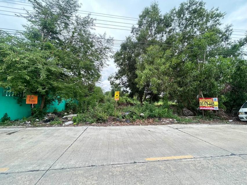 ขายที่ดิน 100 ตรว ติดถนนคอนกรีต ถมแล้ว ซ.หมู่บ้านจิตรัตนา บางบัวทอง นนทบุรี 2