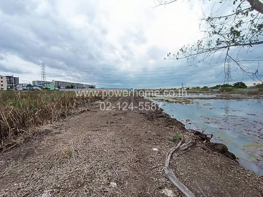 ที่ดิน 2