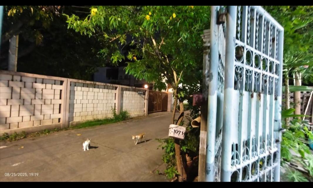 ขายบ้านถนนลาดพร้าว ใกล้รถไฟฟ้าสายสีเหลือง 13