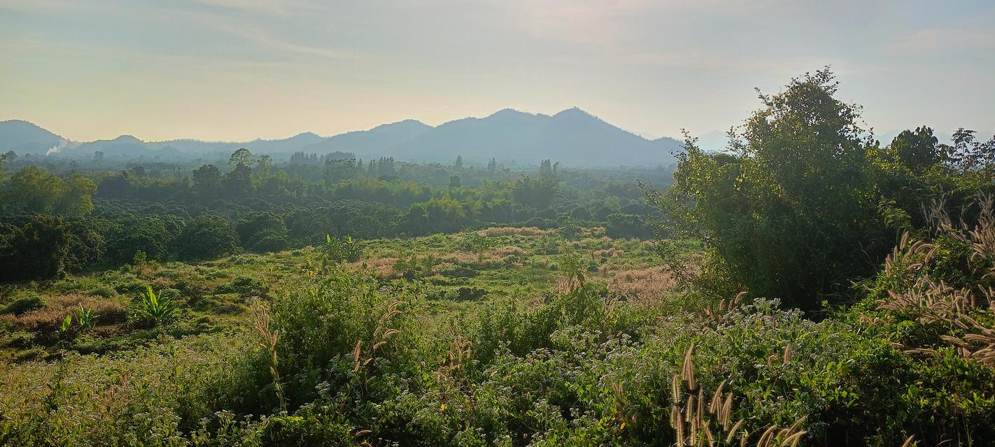 ที่ดินอยู่ใกล้ตลาดใหญ่ เป็นที่เนินเขาติดฝายน้ำเป็นสวนลำไยแบ่งขาย 32 ไร่ 7