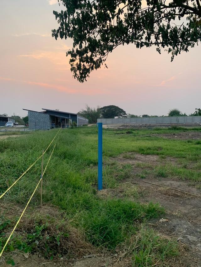 ขายที่ดินเปล่า ทำเลดี ตำบลนครปฐม อำเภอเมืองนครปฐม จังหวัดนครปฐม 6
