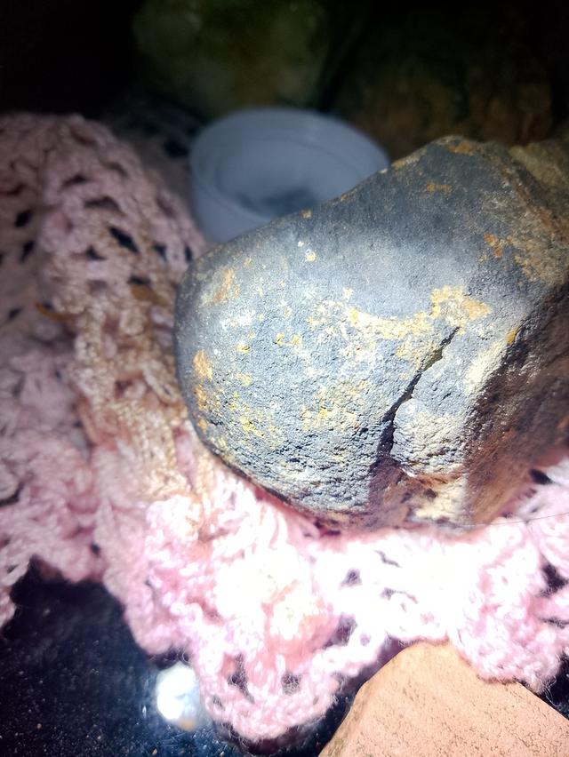 หินแร่ทองคำ อัญมนีต่างๆ รูปที่ 9