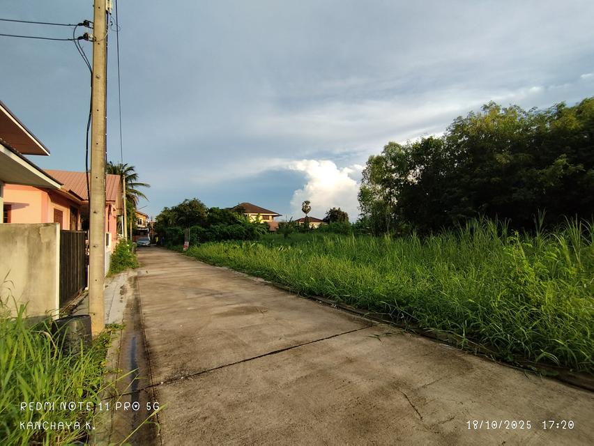 ถูกที่สุด!! ที่ดินเปล่า หลังตึกทรู บ้านคลอง พิษณุโลก 5