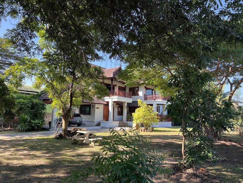 บ้านเดี่ยว ที่เชียงใหม่ อ.สันกำแพง 6