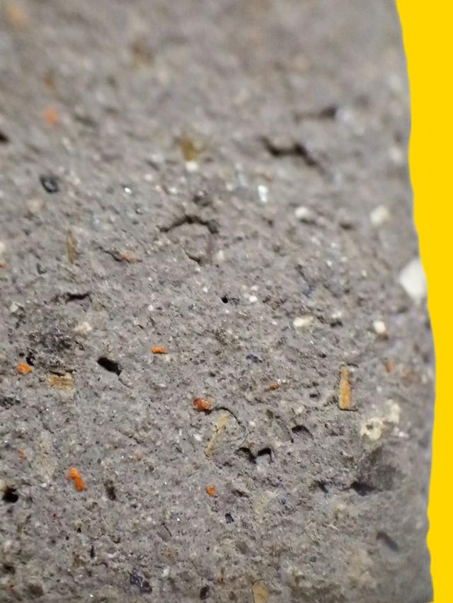 หลวงปู่ทวดเนื้อว่าน 2497