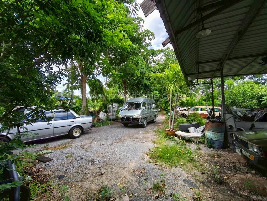 ที่ดินเปล่า ถนนบ้านกล้วย - ไทรน้อย ต.พิมลราช อ.บางบัวทอง จ.นนทบุรี 8