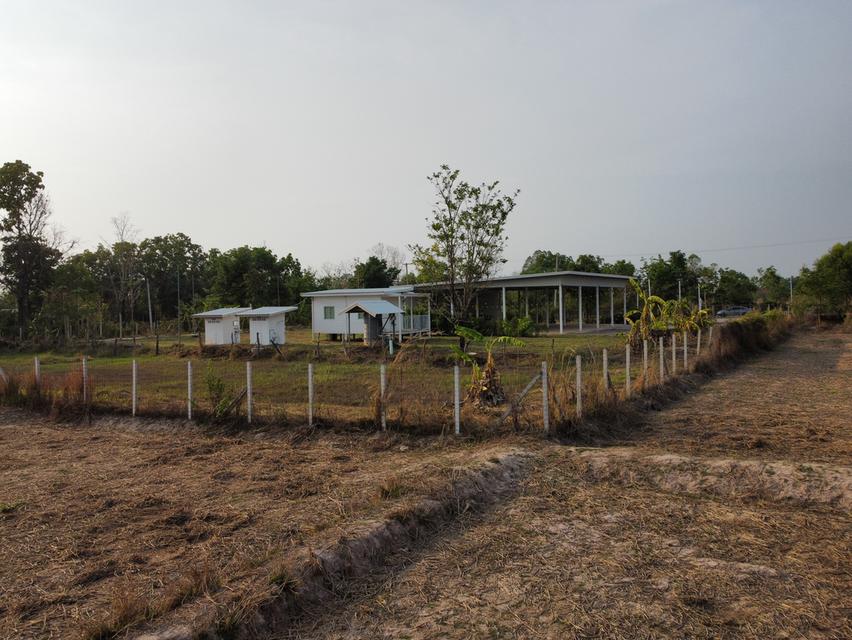 ขายที่ดิน 3 ไร่ ในเขตเทศบาล อ.บ้านม่วง สกลนคร พร้อมอาคารใหญ่ ทำรีสอร์ท บ้านเช่า โกดังหรือศูนย์กระจายสินค้าได้ทันที 2
