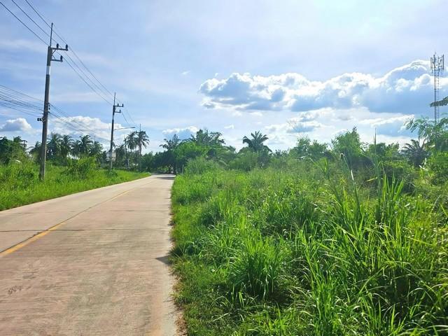 ขายที่ดินบ้านบึงชลบุรี ขายที่ดินบ้านบึงชลบุรีใกล้ถนน344 พื้นที่สีเหลือง หนองชาก บ้านบึง ชลบุรี ✴️บนเนื้อที่ 5-1-75 ไร่ 5