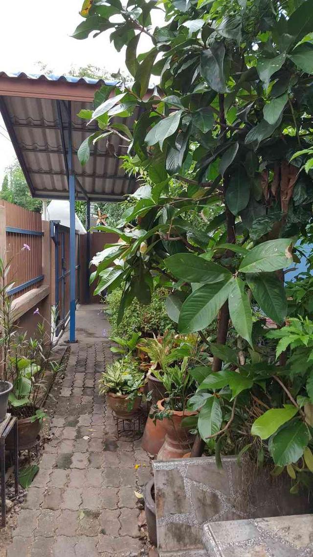 บ้านชั้นเดียว53ตรว.อ่อนนุชซ.70  2น. 2น้ำ 2แอร์จอดรถ3คันเข็ม6ม.9ต้นต่อเป็น 2ชั้นครึ่งได้ราคา3.3ล้าน 5