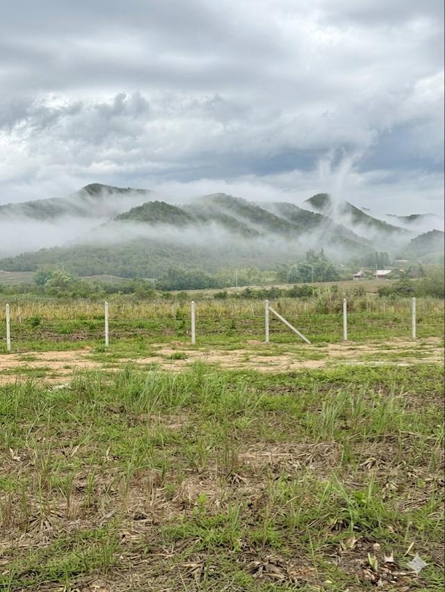 ที่ดินเขาล้อม 360 องศา ติดน้ำ ล้อมรั้วแล้ว ราราถูก 2