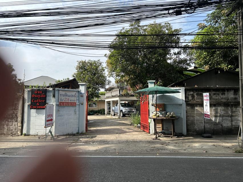 ขายที่ดิน216 ตรว.ในซอยพหลโยธิน18 7