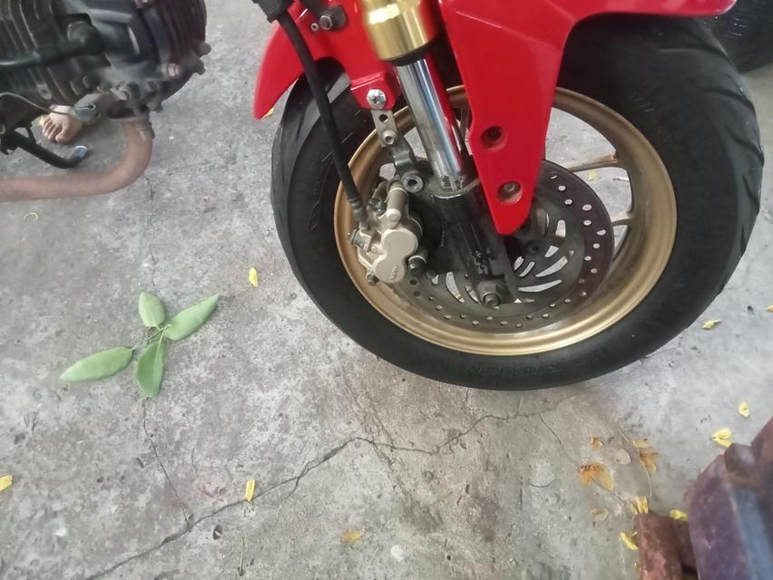Honda Msx 125 6