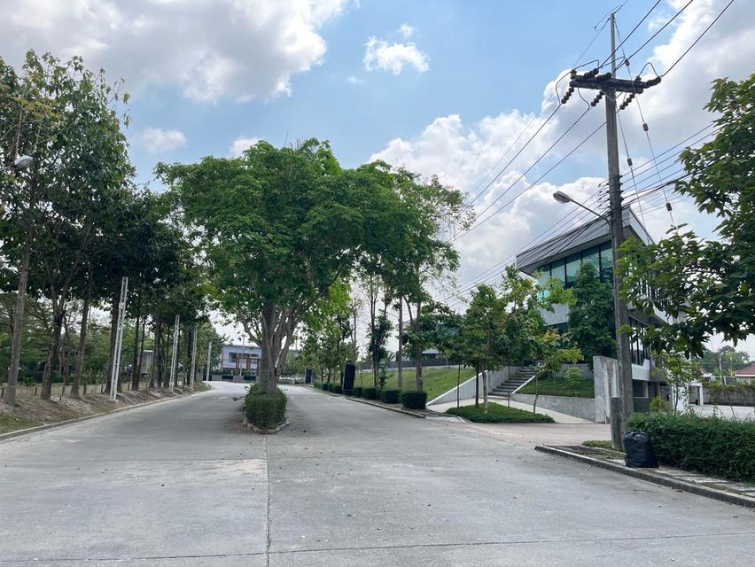 บ้านเดี่ยวชั้นเดียว ระยอง ตัวเมืองนิคมพัฒนา 11