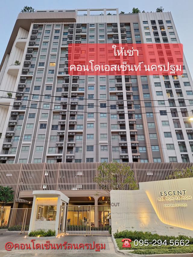 ให้เช่าคอนโดนครปฐม เอสเซ็นท์นครปฐม 1