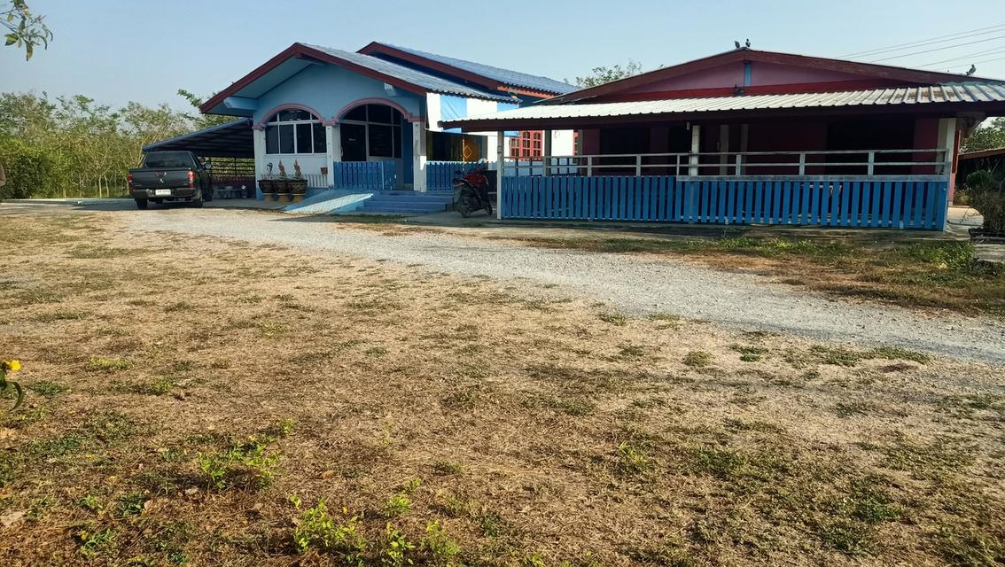 ขายด่วนบ้าน2หลังที่ดิน2ไร่เขตชุมชนติดถนนลาดยางน้ำไม่ท่วมไม่มีประวัติอยู่ไกล้ม. ราชมงคลสุวรรณภูมิสามชุกจ. สุพรรณขาย2. 55ล. สนใจ0894109810เจ้าของโดยตรง 1