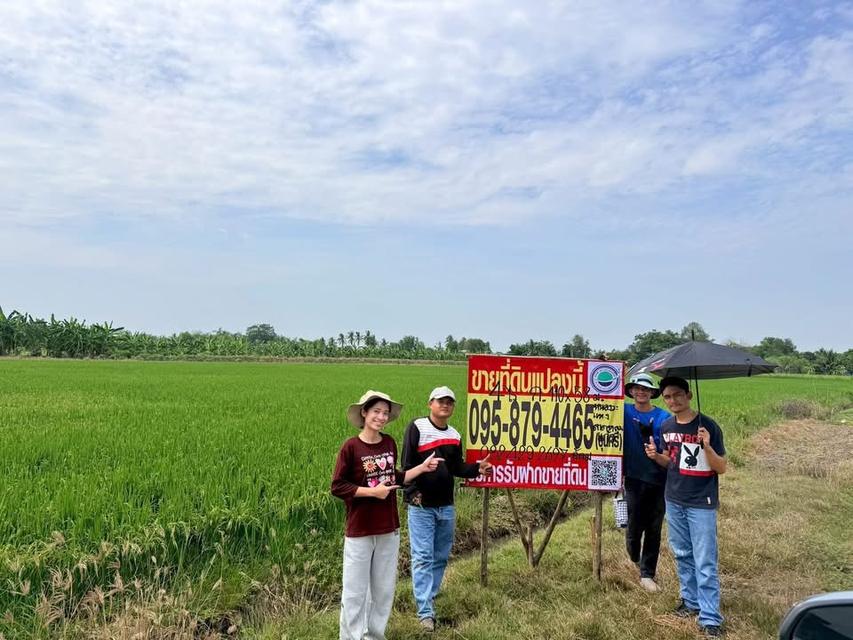 Vายด่วนที่ดินสร้างบ้านสวน 4 ไร่ ติดถนนหินคลุก อ.ลาดหลุมแก้ว จ.ปทุมธานี 1