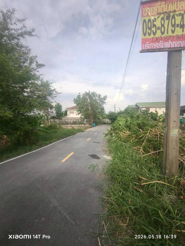 ขายด่วนที่ดิน 176 ตรว ติดถนนลาดยาง ซ.ร่วมสุข 3/6 เมืองปทุมธานี ปทุมธานี 3