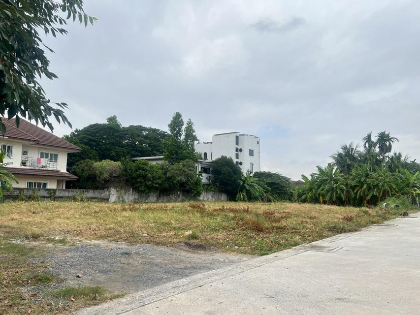 ขายที่ดิน 1 ไร่ 3 งาน 64 ตร.ว. ซอยปุณณวิถี 39 ใกล้ ถนนสุขุมวิท 5