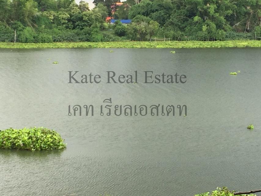 ขายที่ดินสวยติดแม่น้ำมูลทั้งผืน อากาศเย็นสบายทั้งปีหน้าที่ดินเป็นถนนคอนกรีตเทใหม่เอี่ยม อำเภอพิบูลมังสาหาร จังหวัดอุบลราชธานี