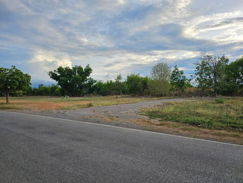 ขายที่ดิน ทำเลทอง ในเขตเทศบาลจอมบึง จังหวัดราชบุรี 6