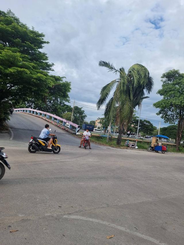 ที่ดินคลอง11 รังสิตนครนายก หมู่บ้านนริศรา 70ตรว. 9