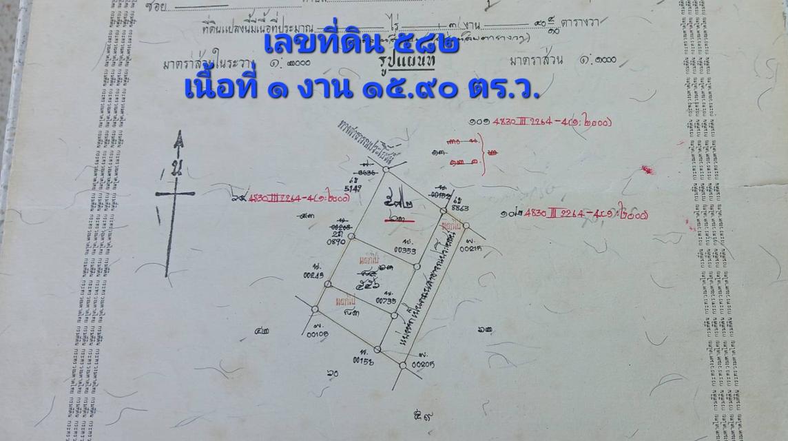 ขายที่ดินเปล่าโฉนด 1 งาน 15.9 ตร.ว. อยู่ในชุมชน ต.นาชะอัง อ.เมืองชุมพร ห่างศาลากลางจังหวัดเพียง 3 กม. ที่เนินปลอดภัยจากน้ำท่วม เจ้าของเองครับ 2