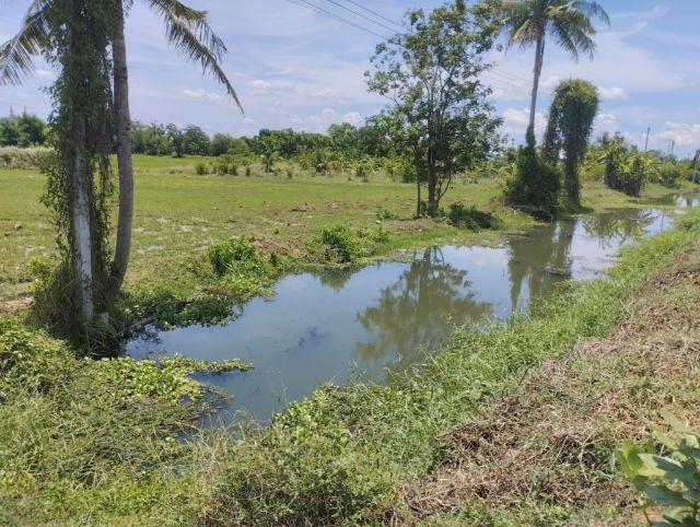 ขายที่ดิน ทำเลดี ติดถนน  ต.เกาะพลับพลา อ.เมือง  จ.ราชบุรี 3