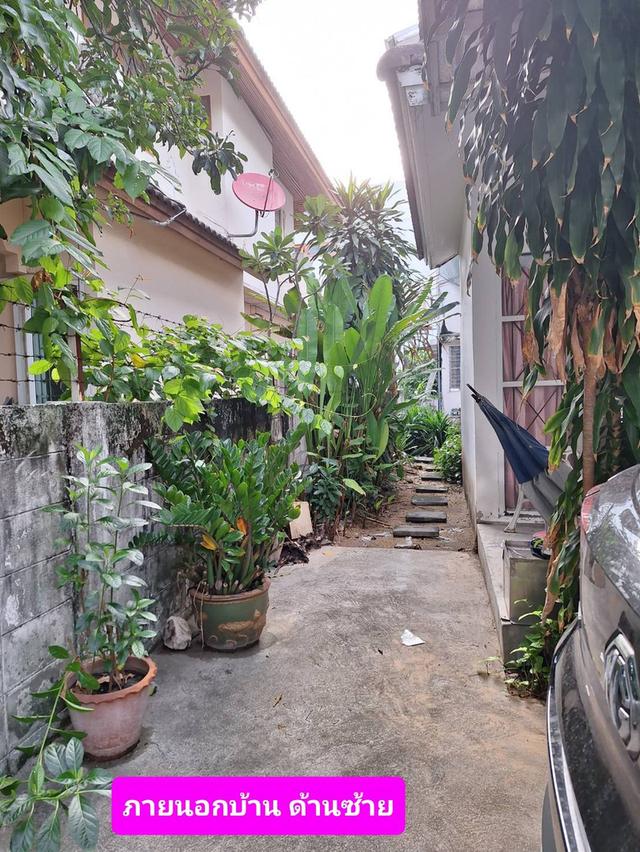 ขายบ้านเดี่ยว 2 ชั้น (สร้างเพิ่มเติมด้านหลังอีก 1 อาคาร 3 ชั้น) 55 ตร.วา (พื้นที่จริง 59 ตร.วา) ม.ลาดพร้าววิลเลจ นาคนิวาส 42 11