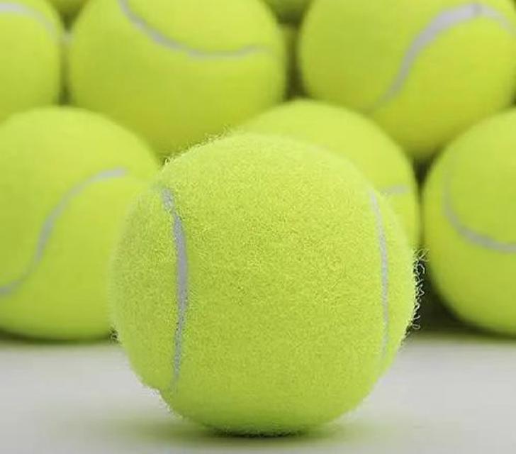 Tennis ball ฝึกซ้อม 