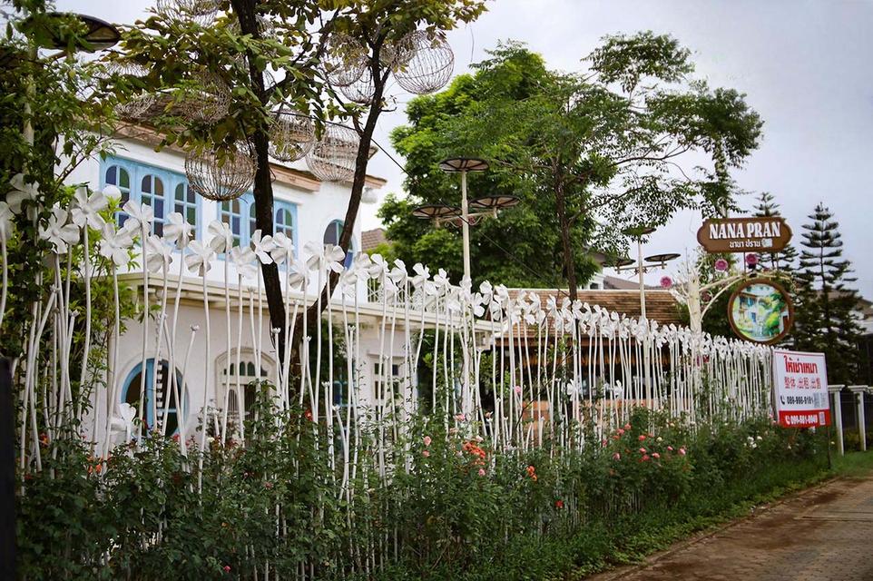 ให้เช่าบ้านเดี่ยว ย่านธุรกิจ 4
