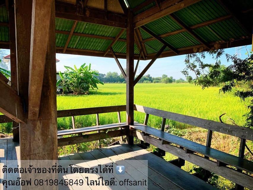 ขายที่ดิน 15 ไ่ร่ ไทรน้อย  6
