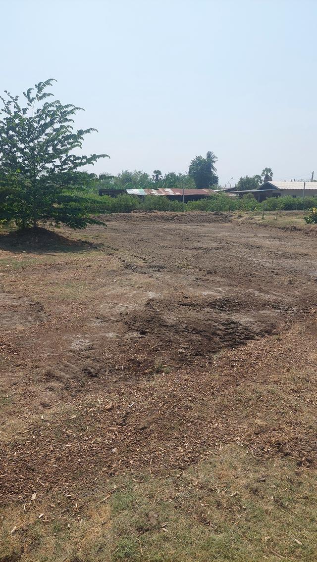 ที่ดินสองไร่พร้อมบ้านสวน 5