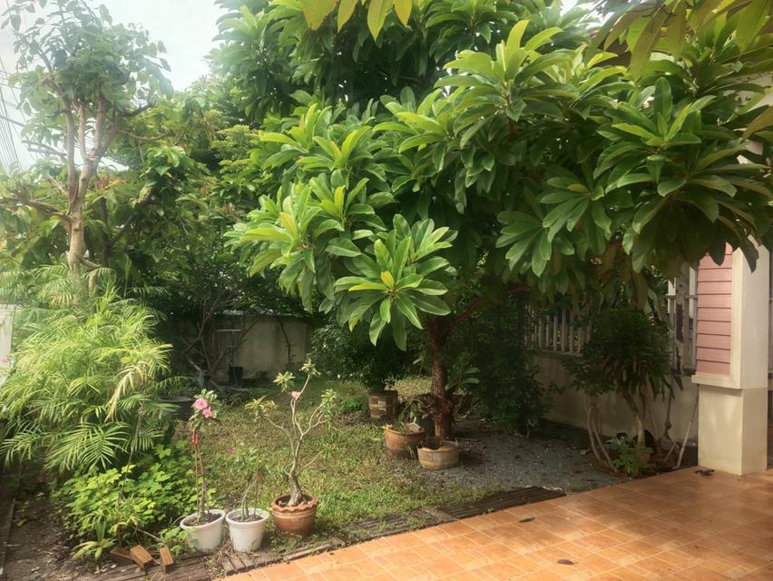 ขายบ้านเดี่ยวชั้นเดียวราคาถูกมาก ด่วนๆๆๆ เจ้าของขายเอง 3,500,000 บาท ราคาต่อรองได้ 2