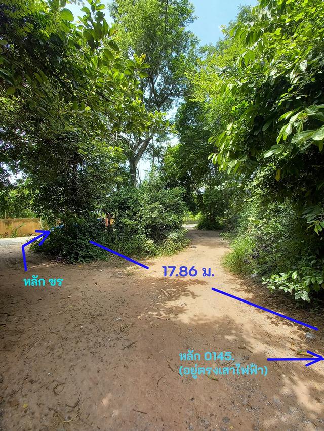 ขายที่ดิน โนนฝรั่ง หัวทะเล นครราชสีมา 6