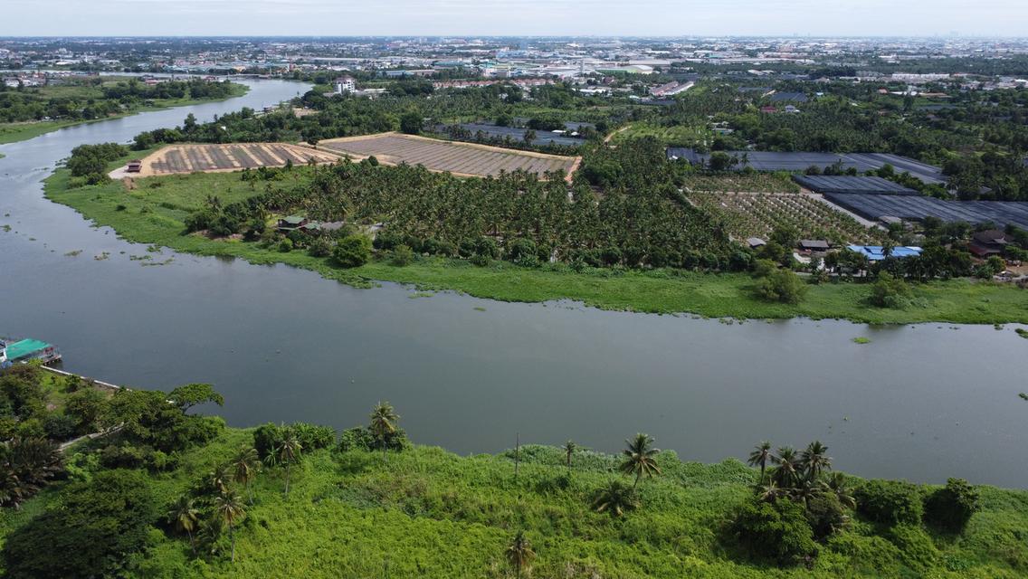 รูป 🆗ขายที่ดิน22ไร่2งาน พื้นที่สีเขียว หน้ากว้าง ติดแม่น้ำท่าจีน 243ม. ถนนหินคุกสาธารณะ ตำบล บ้านใหม่ อำเภอสามพราน นครปฐม  3